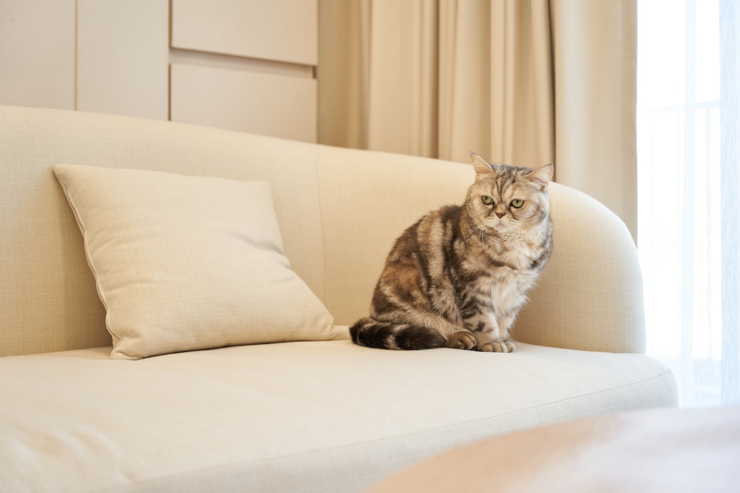 FURNITURE